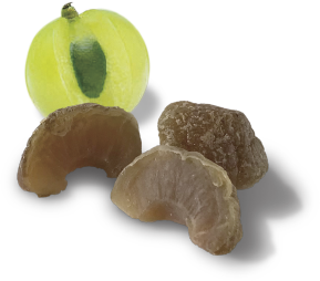 Amla C(小動物用・犬用)