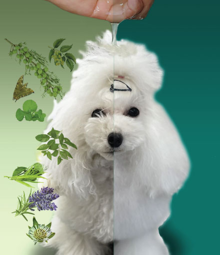 Herb Essence Pack